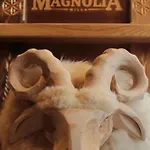 Magnolia Pansiyon Zakopane