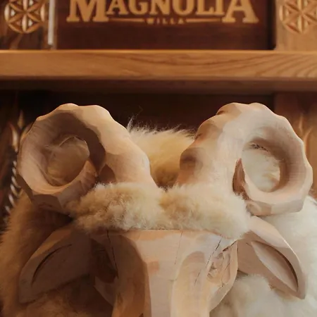 Magnolia בית אירוח זקופאנה