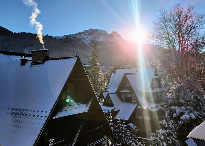 Magnolia 자코파네