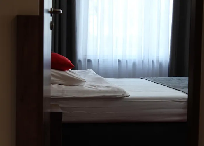 Magnolia * 자코파네